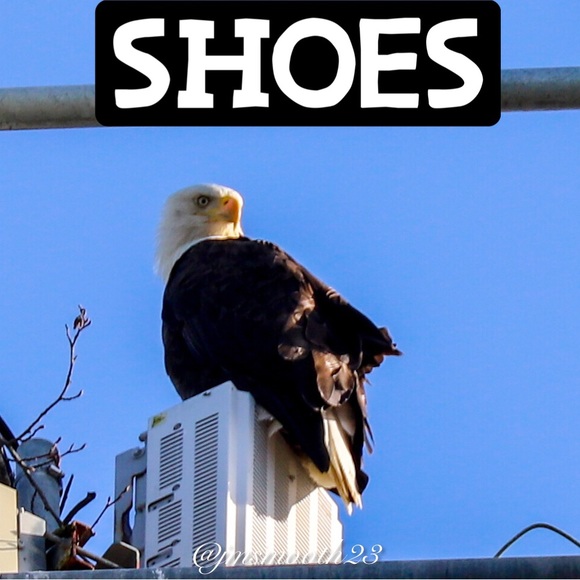 Shoes👉🏽 Sox too! - Picture 1 of 17